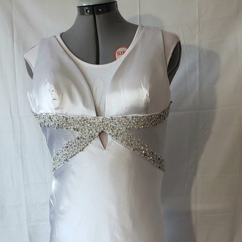 Ball / Party Gown